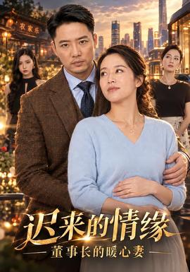 迟来的情缘,董事长的暖心妻封面