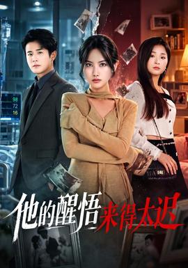他的醒悟来得太迟封面